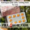 Kamagra Oral Jelly 100Mg How To Use new13